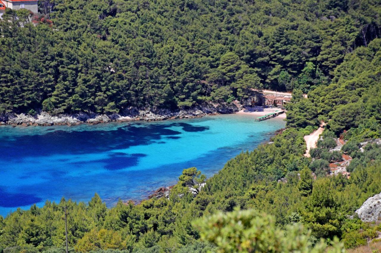 Apartments By The Sea Luka Dubrava, Peljesac - 284 Janjina エクステリア 写真